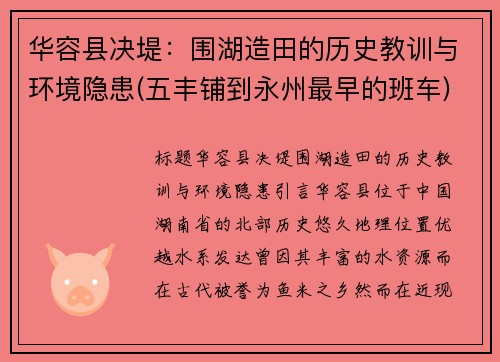 华容县决堤：围湖造田的历史教训与环境隐患(五丰铺到永州最早的班车)