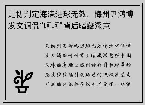 足协判定海港进球无效，梅州尹鸿博发文调侃“呵呵”背后暗藏深意